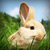 /album/hablando-de-endometriosis/photolia-a03-jpg/